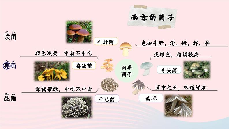 2023八年级语文上册第四单元17昆明的雨精品课件(部编版)第6页
