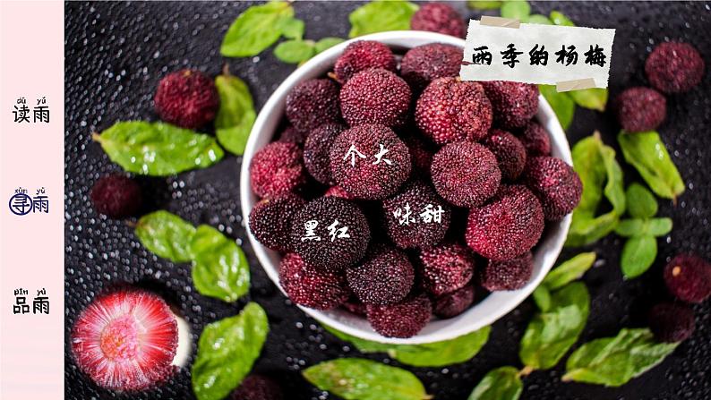 2023八年级语文上册第四单元17昆明的雨精品课件(部编版)第7页