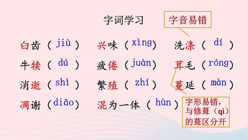 2023八年级语文上册第四单元16散文二篇配套课件(部编版)05
