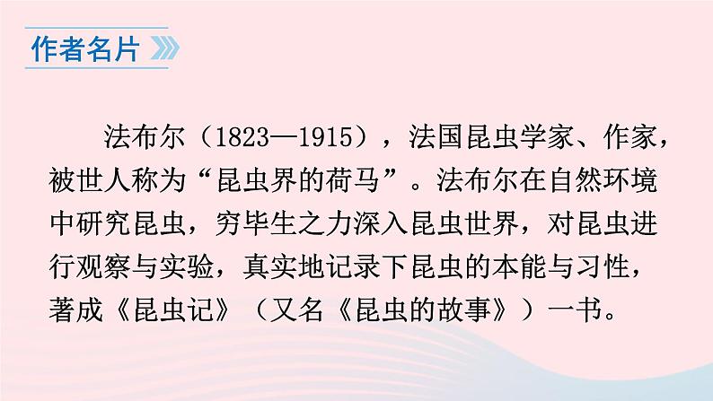 2023八年级语文上册第五单元21蝉课件1(部编版)第6页