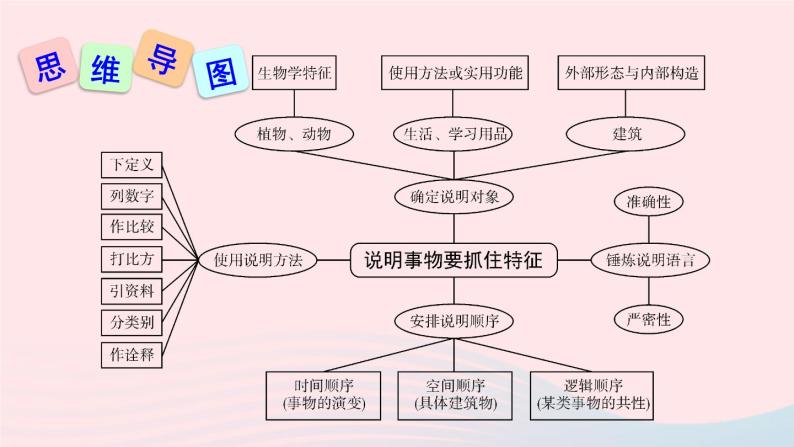 2023八年级语文上册第五单元写作说明事物要抓住特征课件（部编版）07