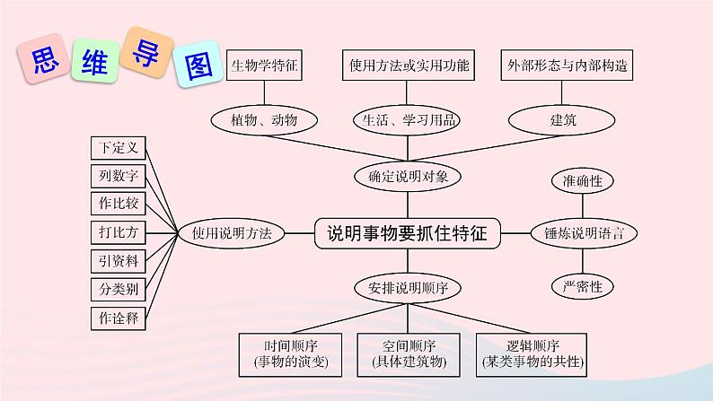 2023八年级语文上册第五单元写作说明事物要抓住特征课件(部编版)07
