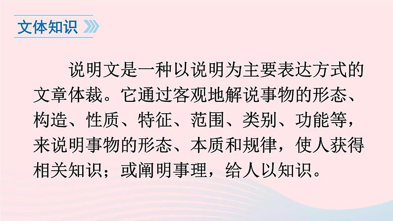 2023八年级语文上册第五单元18中国石拱桥课件(部编版)08