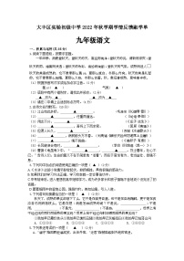 江蘇省鹽城市大豐區(qū)實(shí)驗(yàn)初級(jí)中學(xué)2022-2023學(xué)年九年級(jí)上學(xué)期10月學(xué)情反饋融學(xué)單語(yǔ)文試題