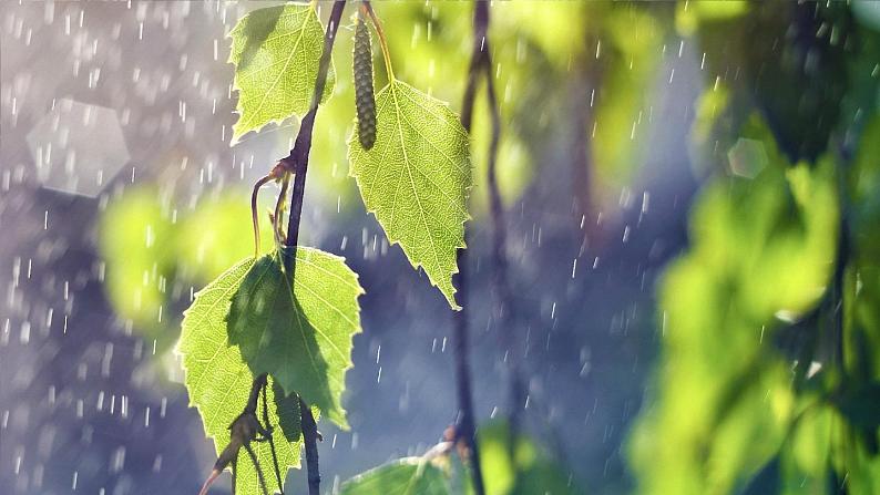 2023七年级语文上册第一单元3雨的四季考点精讲课件新人教版第1页