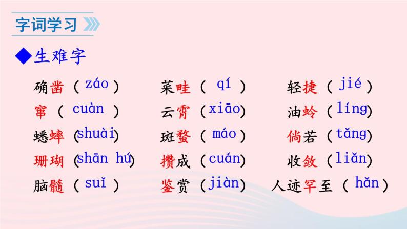 2023七年级语文上册第三单元9从百草园到三味书屋课件新人教版06