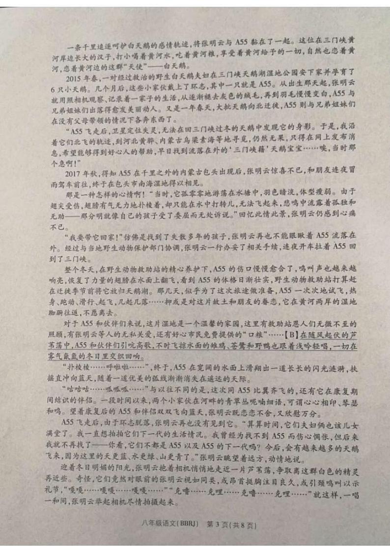 河南省平顶山市宝丰县五校联盟2023-2024学年八年级上学期9月月考语文试题第3页