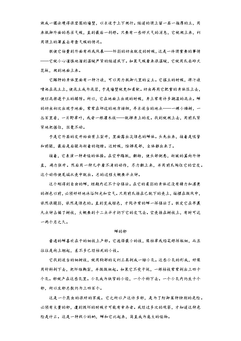 21.蝉随堂练习-部编版语文八年级上册03
