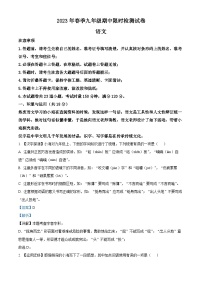 湖南省长郡教育集团2022-2023学年九年级下学期期中语文试题（解析版）