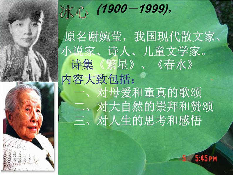 部编人教版七年级上册语文《荷叶.母亲》PPT02