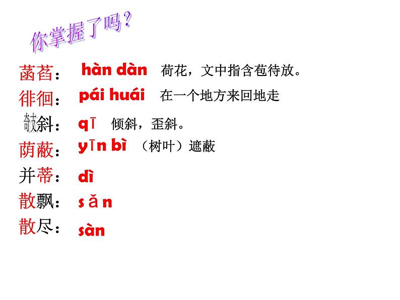 部编人教版七年级上册语文《荷叶.母亲》PPT03