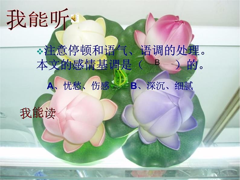 部编人教版七年级上册语文《荷叶.母亲》PPT04