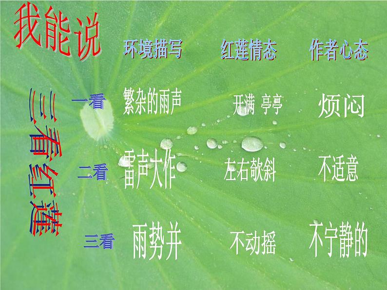 部编人教版七年级上册语文《荷叶.母亲》PPT06