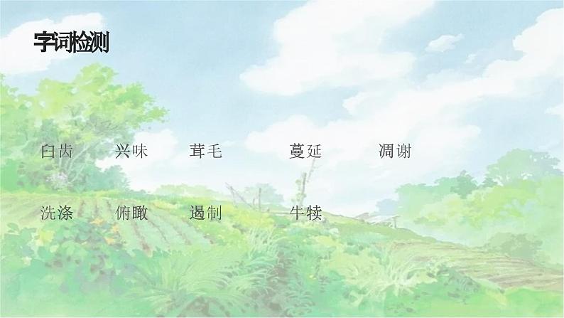《永久的生命》教学ppt第4页