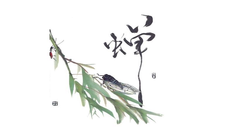 《蝉》教学ppt第1页