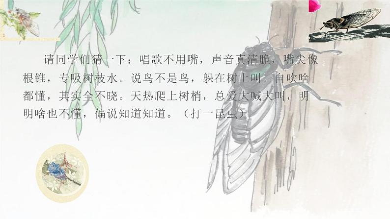 《蝉》教学ppt第2页