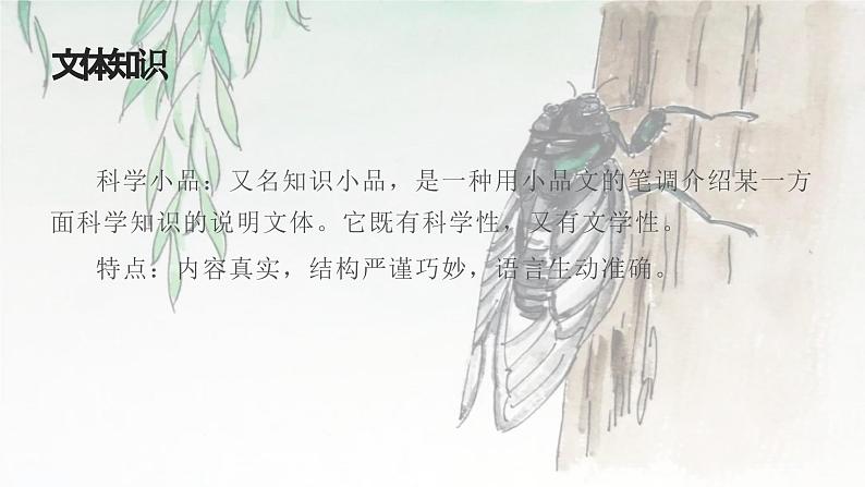 《蝉》教学ppt第3页