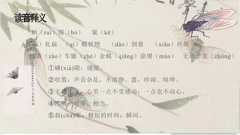 《蝉》教学ppt第7页