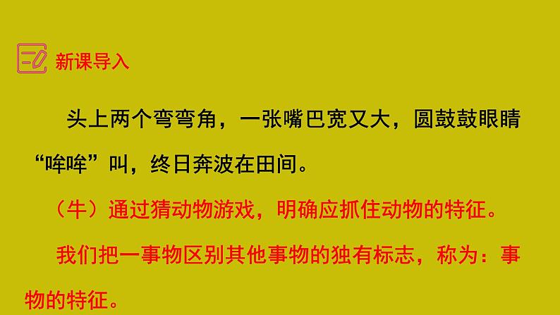 第五单元写作 说明事物要抓住特征+作文开头技巧指导 八年级语文上册单元同步作文 2023-2024学年统编版课件PPT第7页