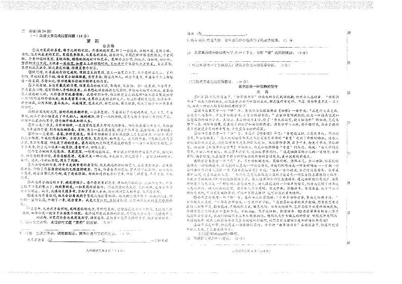 甘肃省定西市岷县2021-2022学年九年级下学期期中考试语文试题第2页