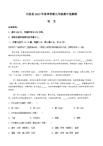 云南省昭通市巧家县2022-2023学年九年级下学期期中语文试题（含答案）