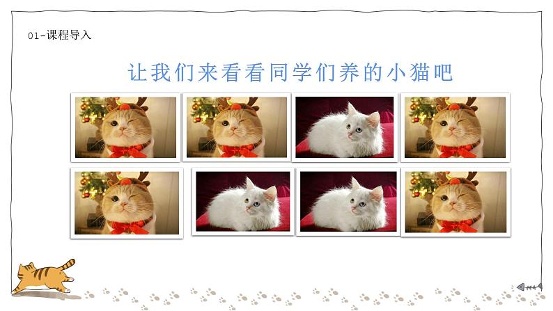七年级语文上册第五单元16课《猫》课件第3页