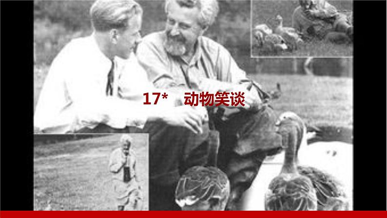 部编版七年级语文上册课件 第五单元 17 动物笑谈第1页