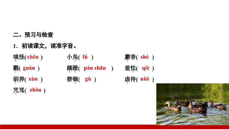 部编版七年级语文上册课件 第五单元 17 动物笑谈第4页