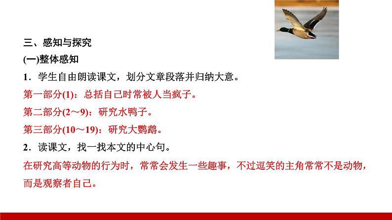 部编版七年级语文上册课件 第五单元 17 动物笑谈第7页
