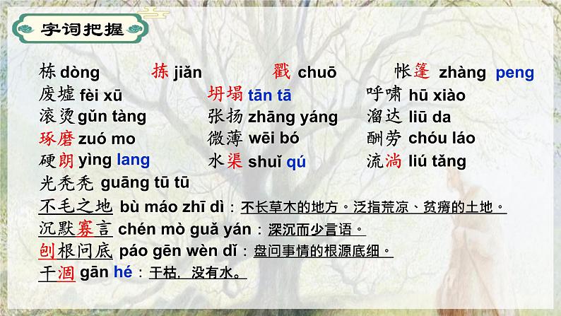 第13课植树的牧羊人-【同步备课】2023·2024学年七年级语文上学期同步精品课件03