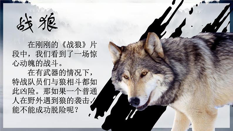 第18课狼-【同步备课】2023·2024学年七年级语文上学期同步精品课件第2页