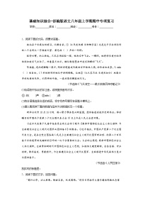基础知识综合-部编版语文八年级上学期期中专项复习