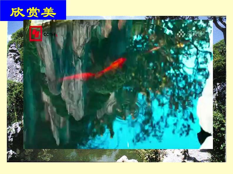 《苏州园林》课件第7页