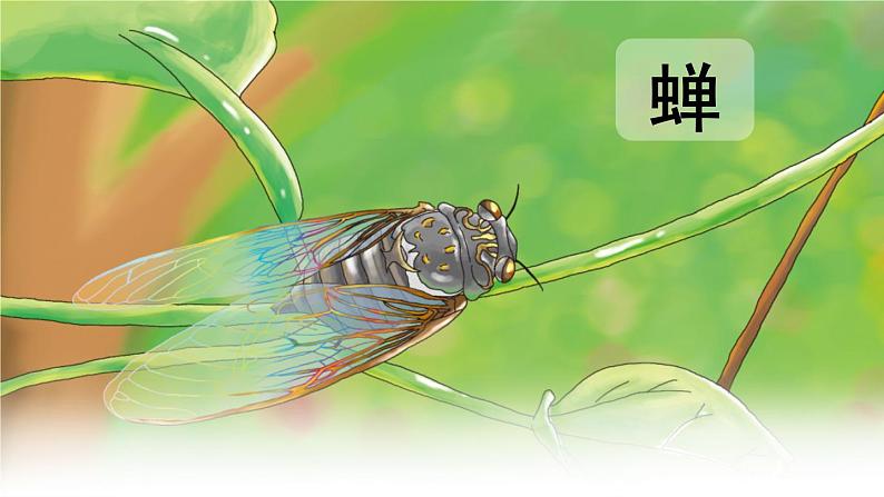 21.《蝉》课件PPT第1页