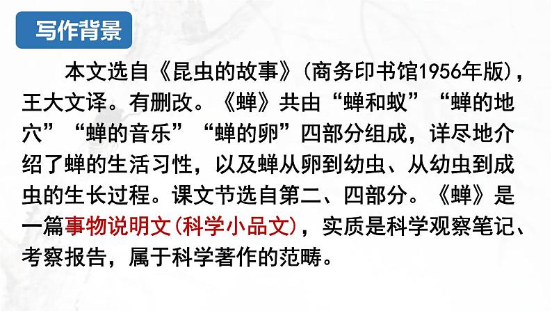 21.《蝉》课件PPT第8页
