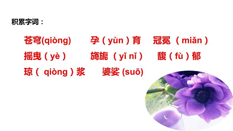 初中六年级上册语文课件---3.《花之歌》第4页