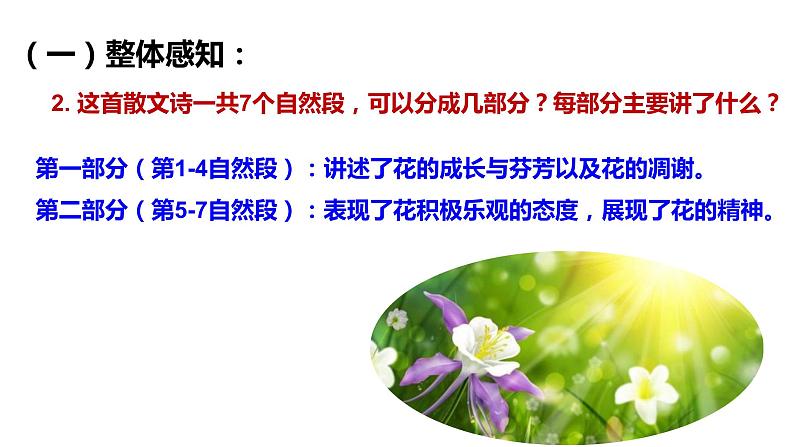 初中六年级上册语文课件---3.《花之歌》第7页