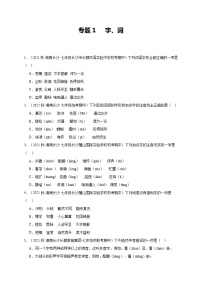 【期中真题】（长沙专用）2023-2024学年七年级上册语文 期中真题分类专题汇编专题01 字词-试卷.zip