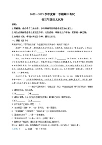 7、九年级上学期期中语文试题（答案与解析版）2023-2024学年第一学期 统编版