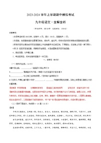 期中模拟卷（上海）2023-2024学年九年级语文上学期期中模拟考试试题及答案（含答题卡）