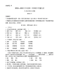 山东省潍坊市潍城区2022-2023学年九年级上学期期中语文试题