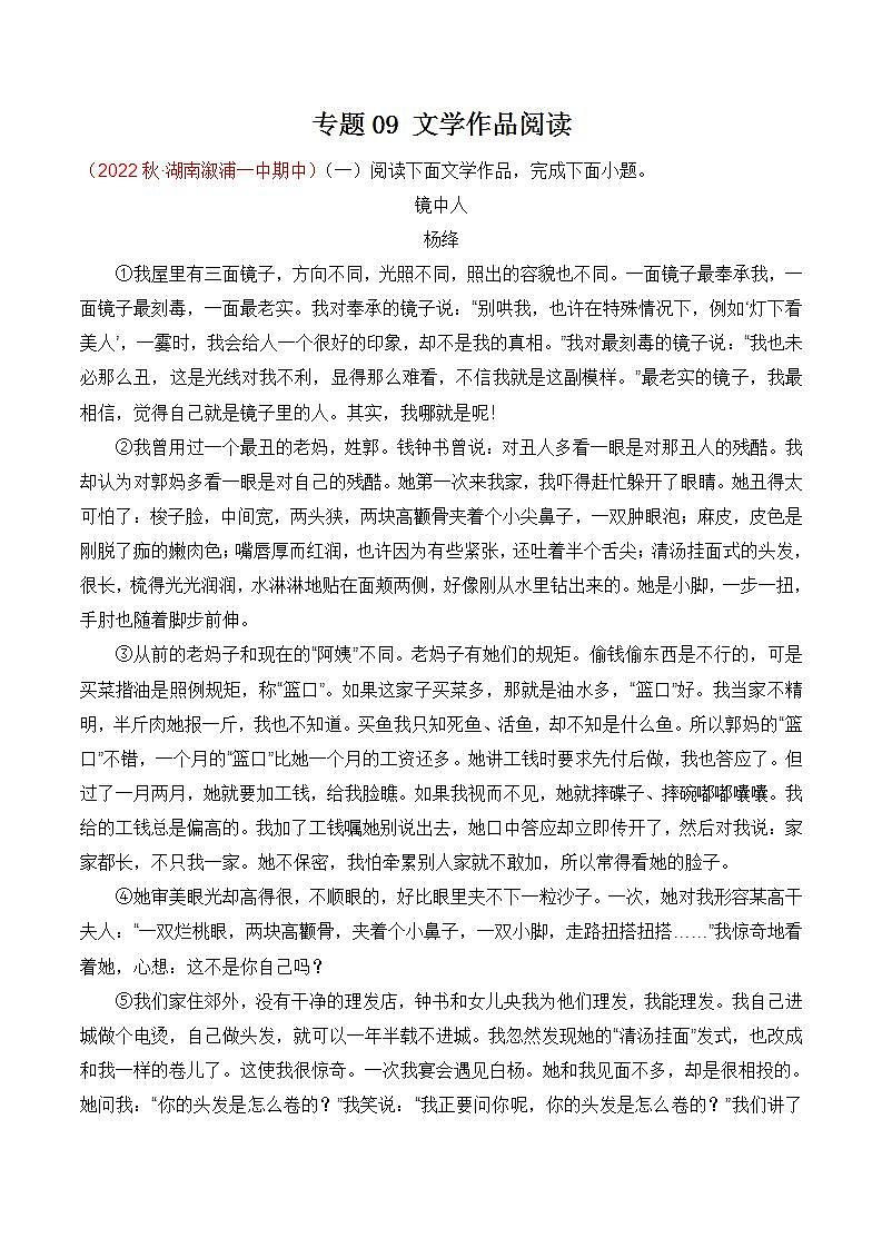 专题09:文学作品阅读(考点串讲+考点清单+考题猜想)-2023-2024学年九年级语文上学期期中考点大串讲(统编版)01