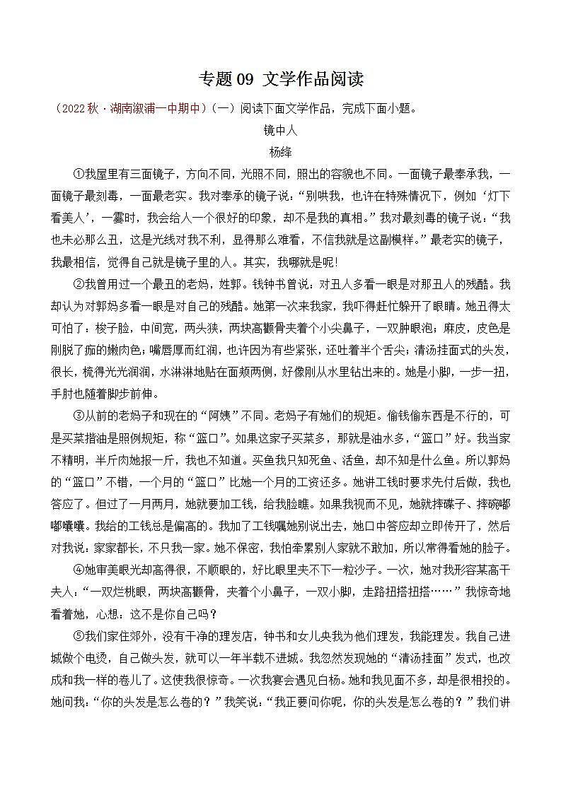 专题09:文学作品阅读(考点串讲+考点清单+考题猜想)-2023-2024学年九年级语文上学期期中考点大串讲(统编版)01