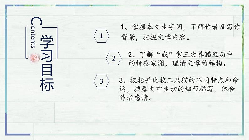 第16课《猫》课件-2022-2023学年七年级语文上册精讲精练同步课堂(部编版)第3页