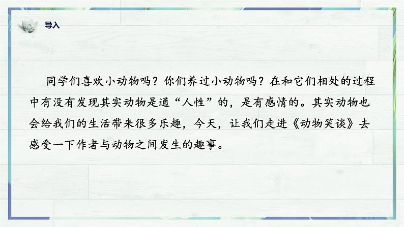 第17课《动物笑谈》(课件+同步训练)01