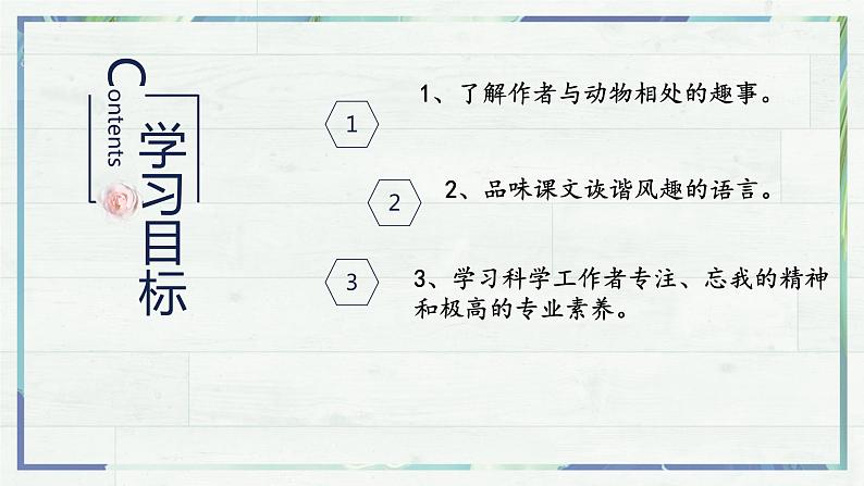 第17课《动物笑谈》(课件+同步训练)03