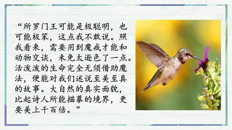 第17课《动物笑谈》(课件+同步训练)06