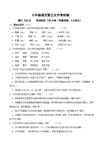 第三次月考试卷-2023-2024学年七年级语文上学期单元+月考+期中期末检测模拟卷(统编版)