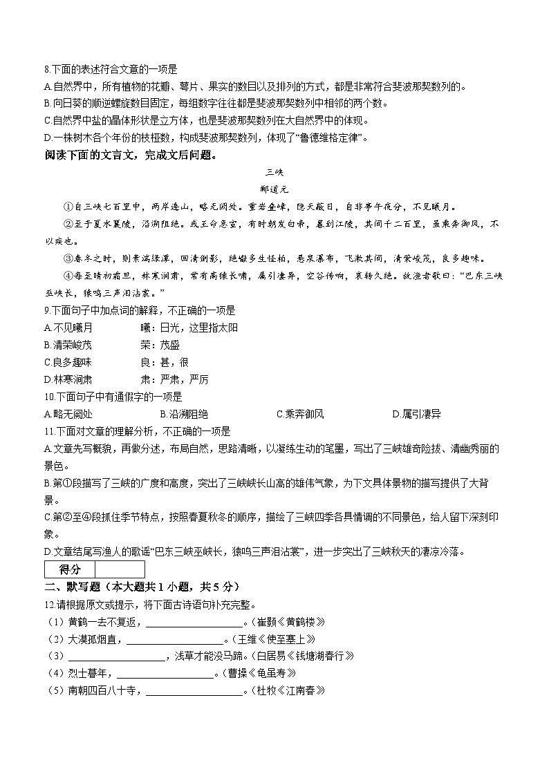 天津市河西区2023-2024学年八年级上学期期中语文试题03
