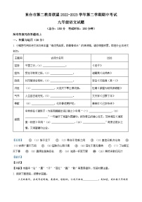 江苏省盐城市东台市第二教育联盟2022-2023学年九年级下学期期中语文试题（解析版）